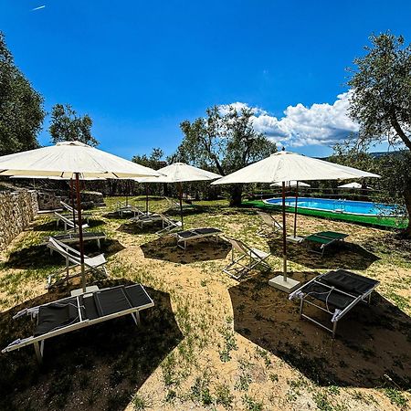 Valle Degli Ulivi B&B Vieste Eksteriør bilde