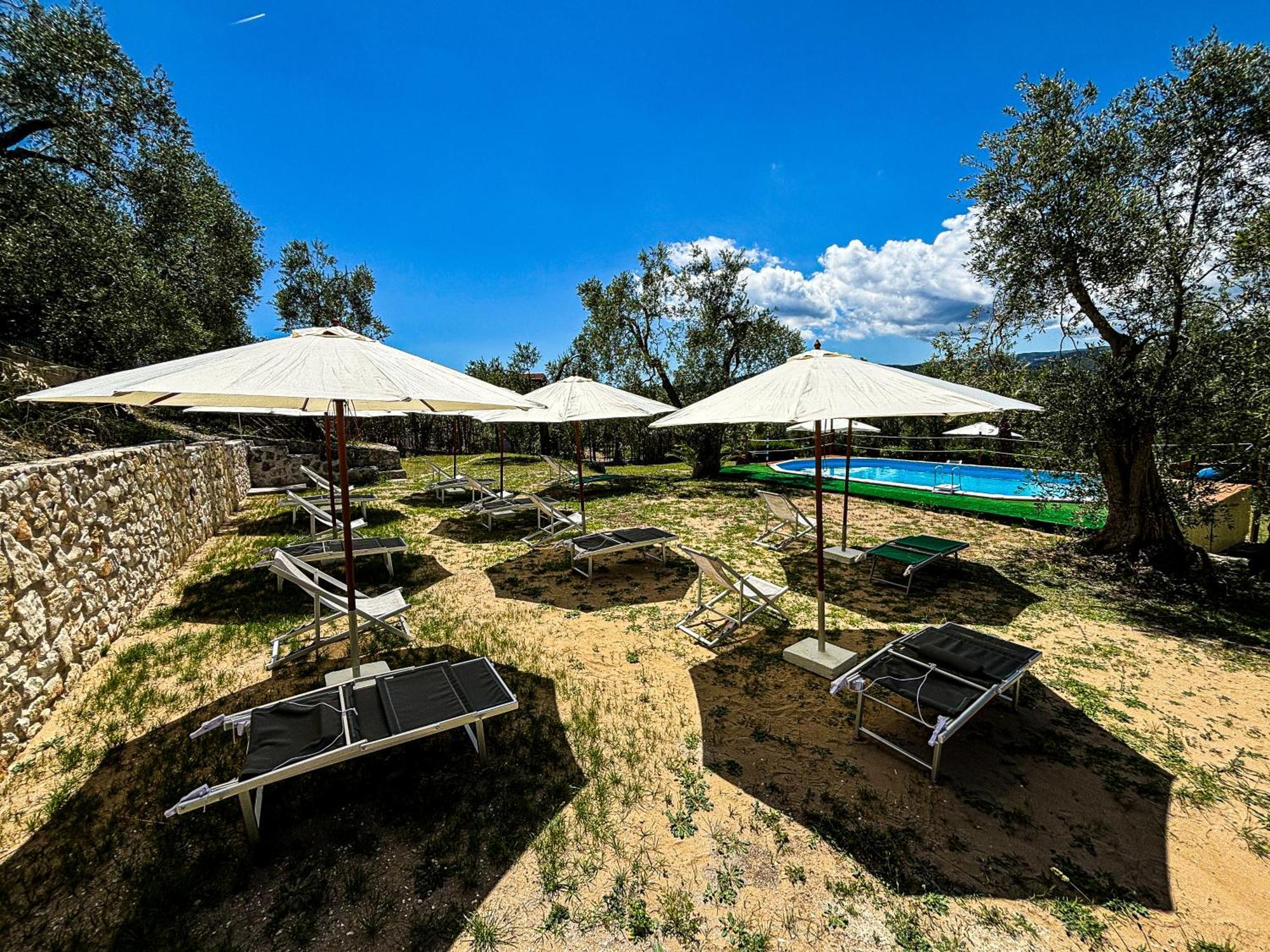 Valle Degli Ulivi B&B Vieste Eksteriør bilde